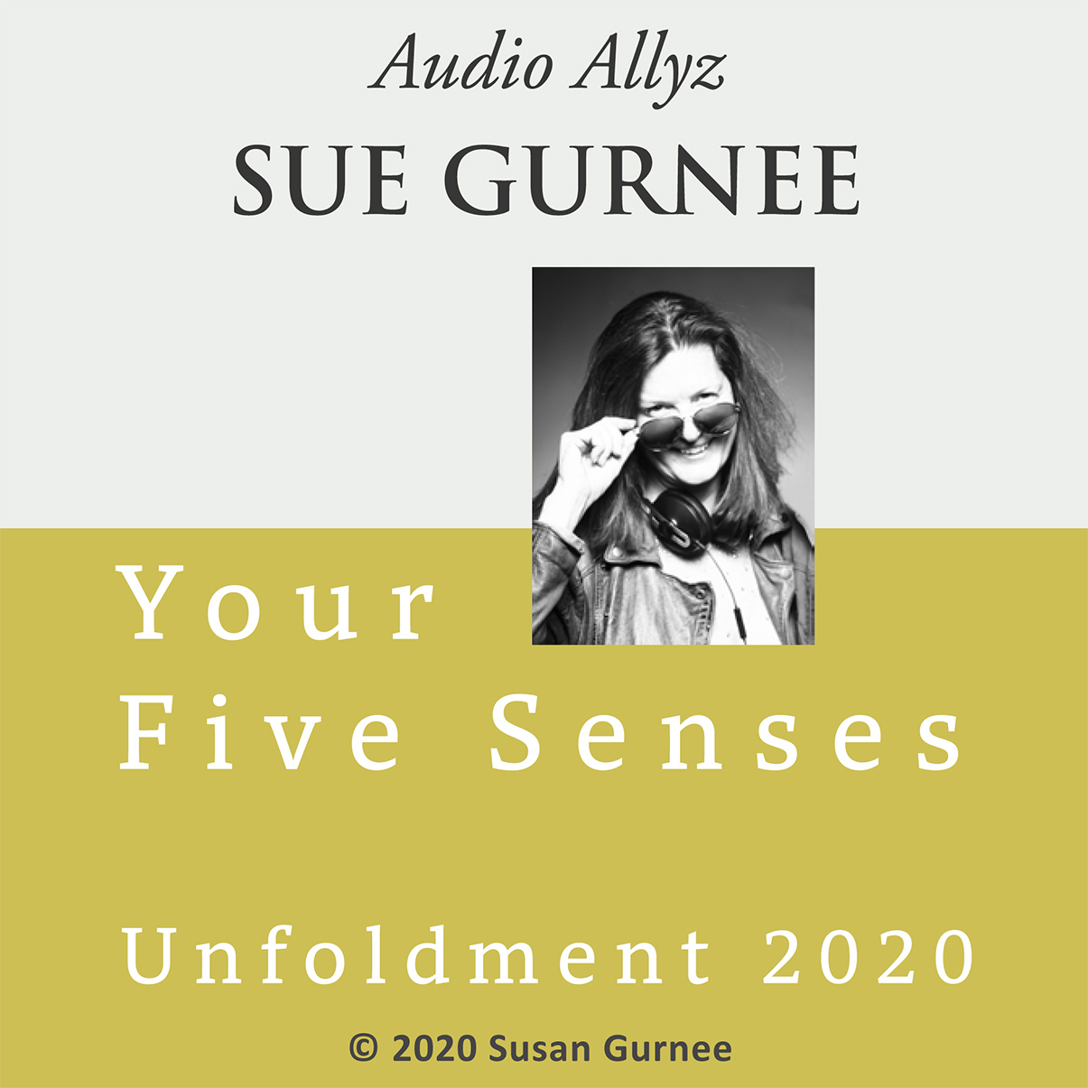 Audio Allyz Sue Gurnee - Unfoldment 2020 - Your Five Senses